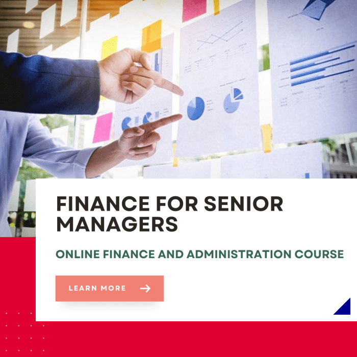 Finance Management for Senior Managers - Global Management Academy